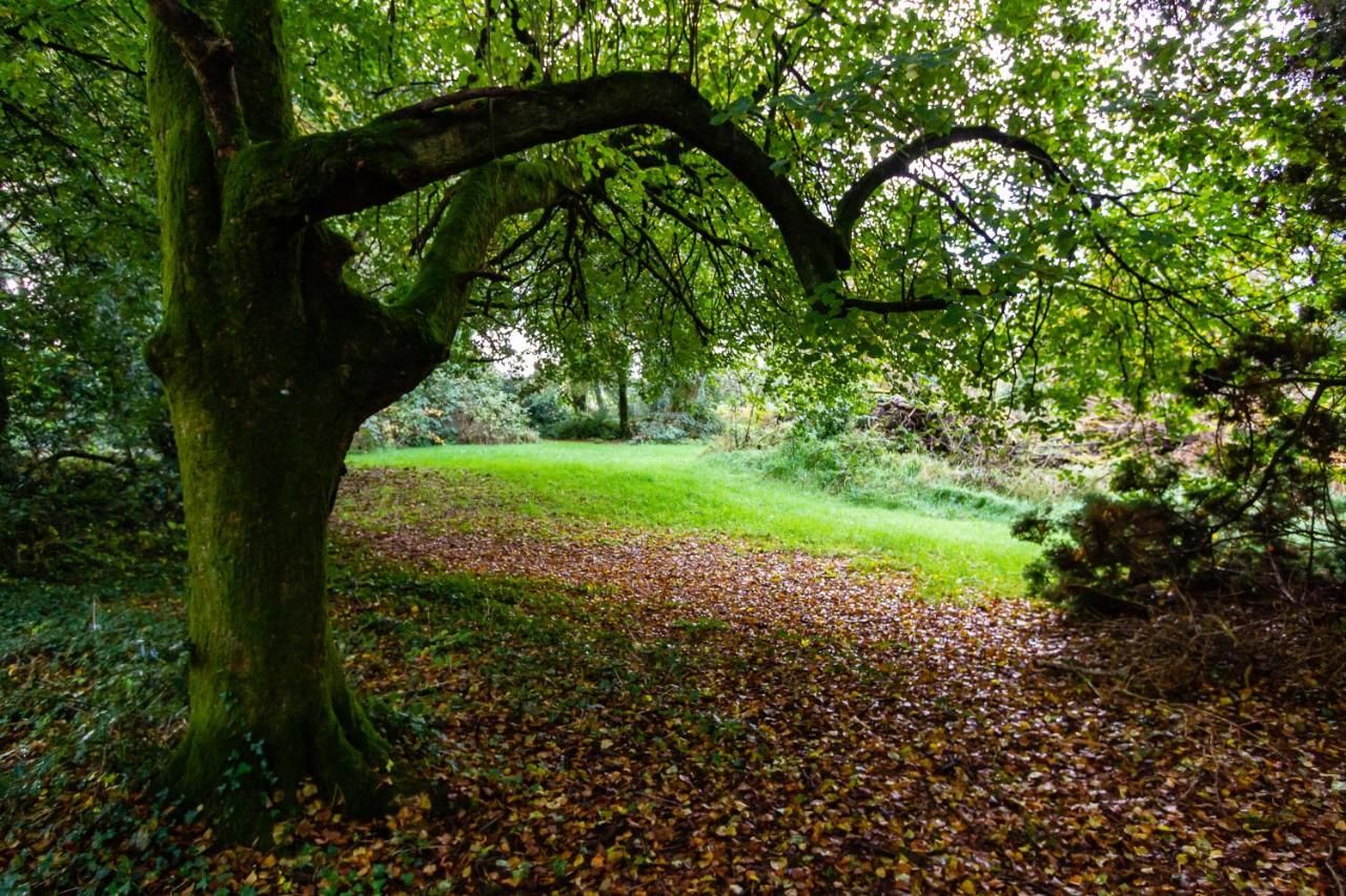 Гостевой дом Donard Demesne Dún Ard-26